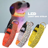 Collar para Perros LED