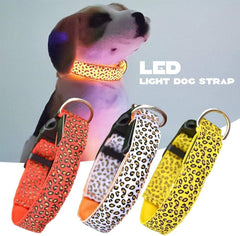 Collar para Perros LED