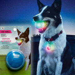 Pelota Led Mascotas